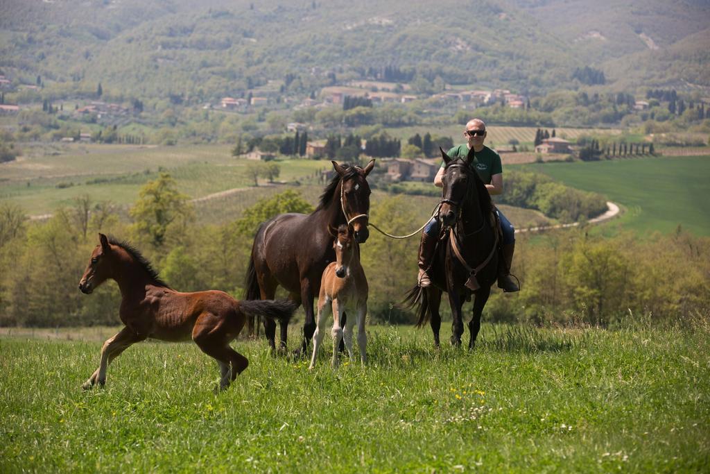 Città della Pieve Poggiovalle Tenuta Italiana מראה חיצוני תמונה