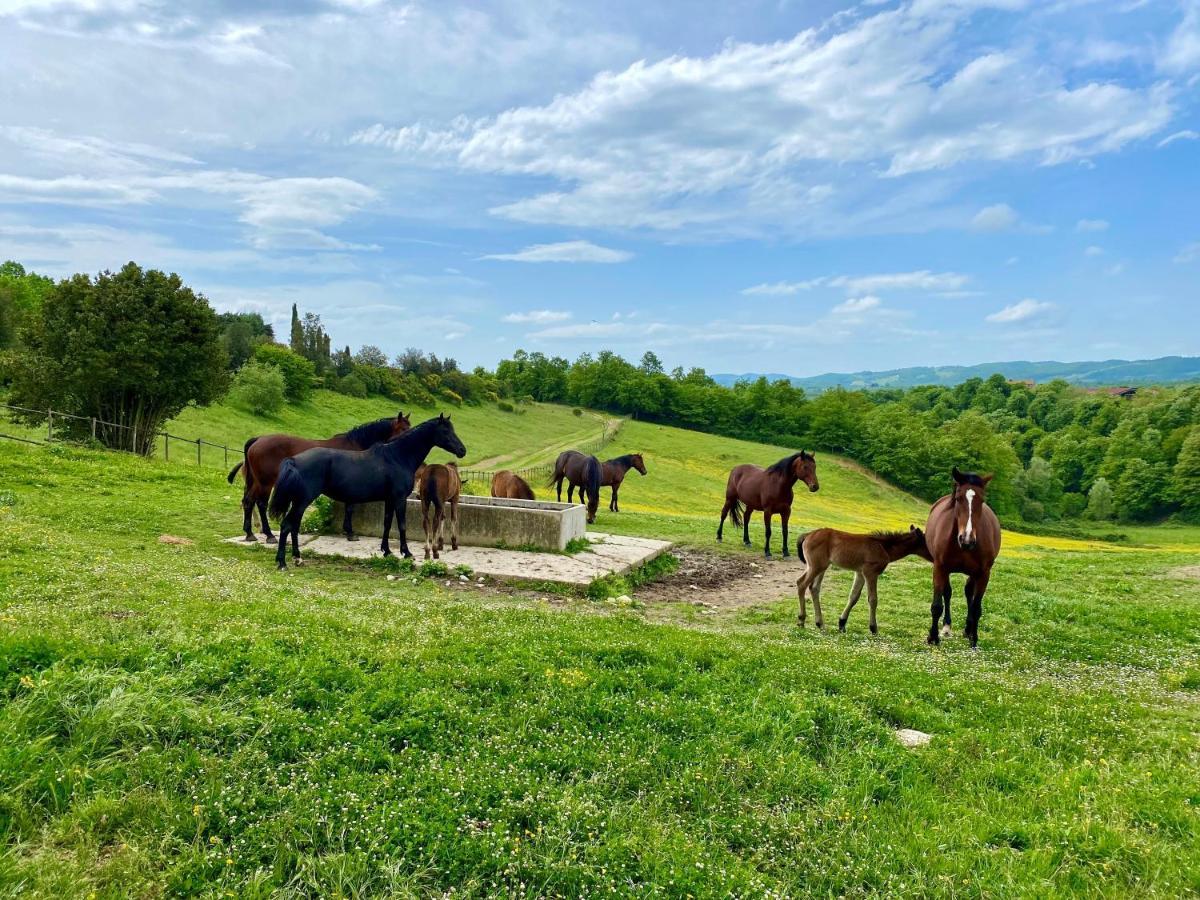 Città della Pieve Poggiovalle Tenuta Italiana מראה חיצוני תמונה
